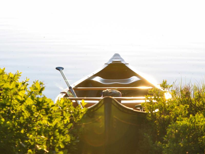 WA API接口对接<br>官方API申请与接入完整指南